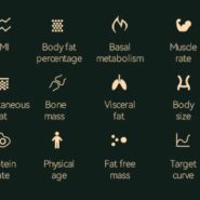ترازو هوشمند هایلو شیائومی مدل Smart Body Fat Scale CM01